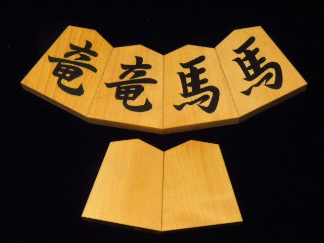 koma-sonota1081 005.JPG