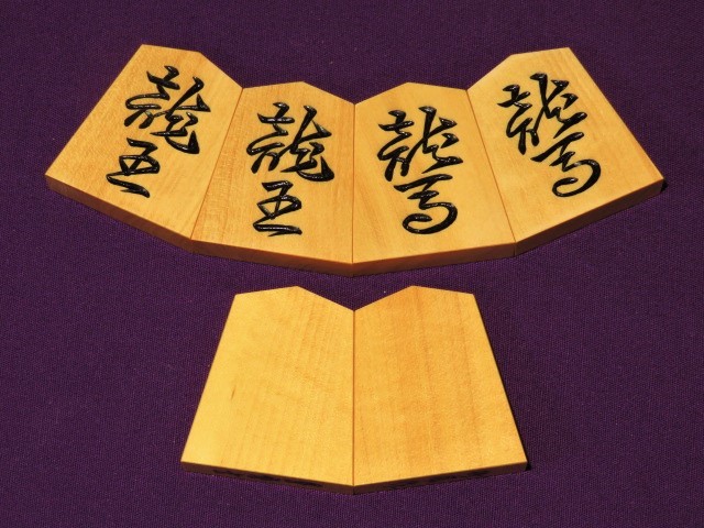 koma-sonota1090 003.JPG