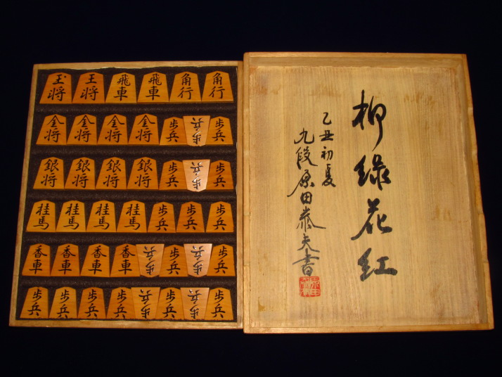 将棋入門シリーズ⑤ 将棋上達法 原田泰夫 成美堂出版｜本 - 趣味 