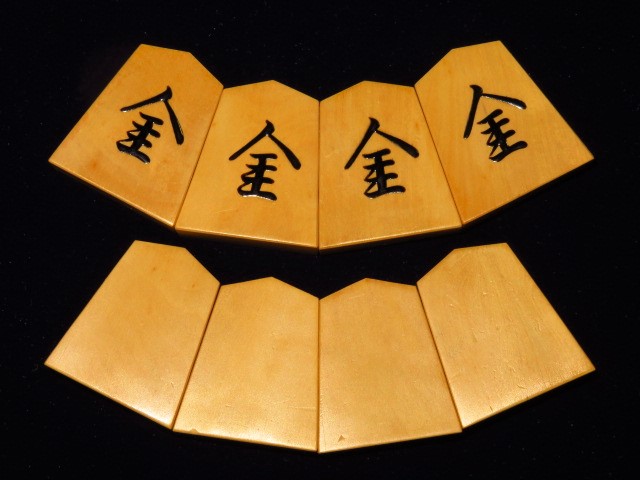koma748-2 008.JPG