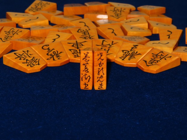 児玉龍兒作巻菱湖御蔵島黄楊虎斑盛上将棋駒 未使用品 児玉龍兒 